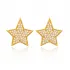 Star Design Zircon Stone Stud Earrings