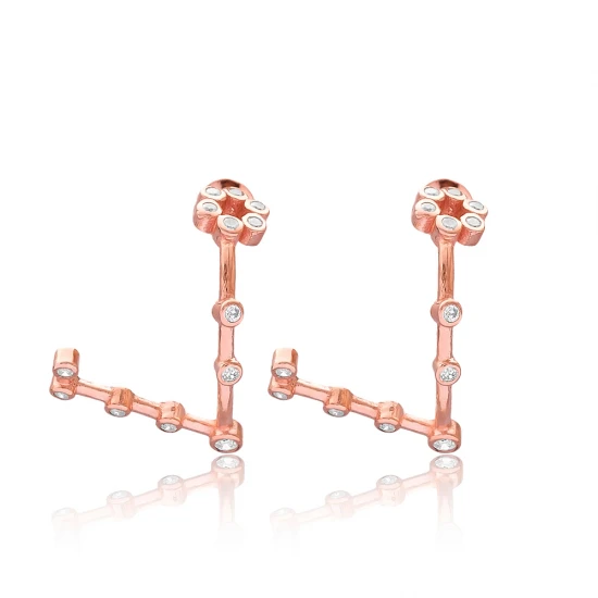 Turkish Pisces Dainty Zodiac Horoscope Silver Earrings Turkish Pisces Dainty Zodiac Horoscope Silver Earrings