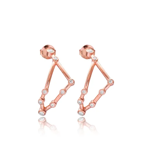 Turkish Capricorn Astrology Sign Zodiac Silver Earrings