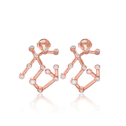 Sagittarius Astrology Zodiac Sign 925 Silver Earrings