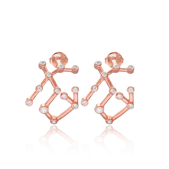 Sagittarius Astrology Zodiac Sign 925 Silver Earrings Sagittarius Astrology Zodiac Sign 925 Silver Earrings