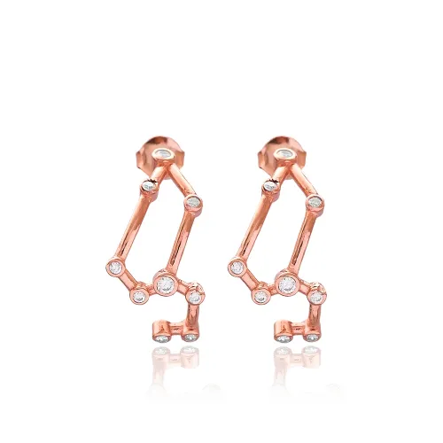 Turkish Leo Zodiac Sign Constellation Silver Earrings