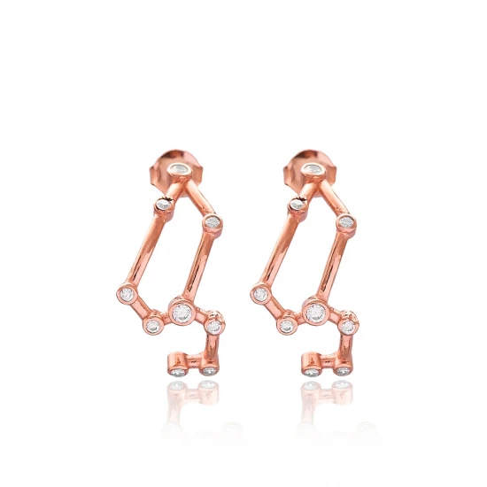 Turkish Leo Zodiac Sign Constellation Silver Earrings Turkish Leo Zodiac Sign Constellation Silver Earrings