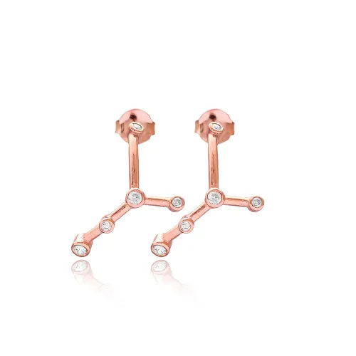 Cancer Zodiac Sign Constellation 925 Silver Earrings