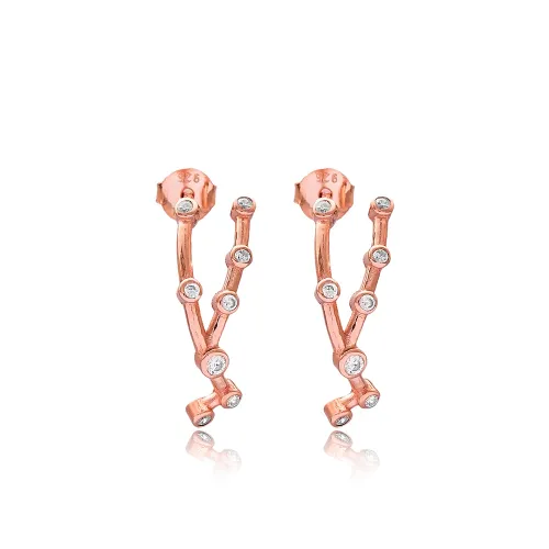 Taurus Zodiac Constellation Horoscope Silver Earrings