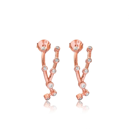 Taurus Zodiac Constellation Horoscope Silver Earrings Taurus Zodiac Constellation Horoscope Silver Earrings