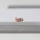 Snake Cartilage 925 Sterling Silver Earrings