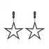 Black Zircon Star Hollow Stud Earrings