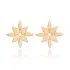 North Star Zircon Stone 925 Stud Earrings