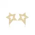 Zircon Star Shape Dainty Stud Earrings