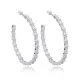 Elegant Hoop Shiny Zircon Stone Earrings Popular Wholesale 925 Sterling Silver Jewelry Elegant Hoop Shiny Zircon Stone Earrings Popular Wholesale 925 Sterling Silver Jewelry