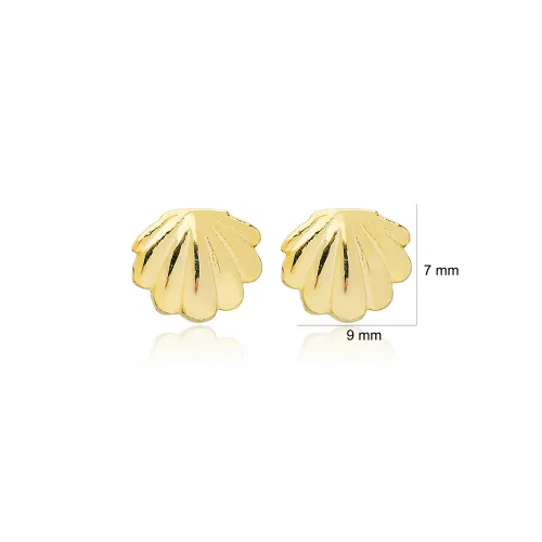 Seashell Earrings in 925 Sterling Silver