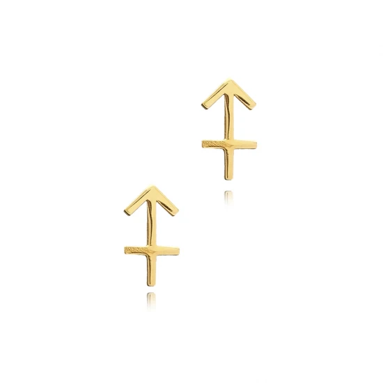 Sagittarius Zodiac 925 Sterling Silver Earrings