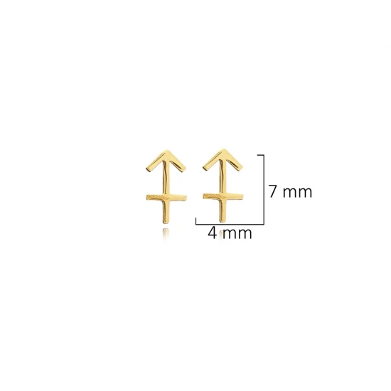 Sagittarius Zodiac 925 Sterling Silver Earrings