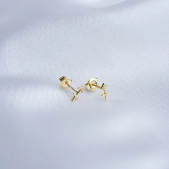 Sagittarius Zodiac 925 Sterling Silver Earrings