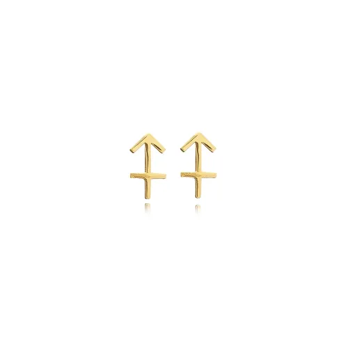 Sagittarius Zodiac 925 Sterling Silver Earrings