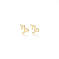 Capricorn Zodiac Tiny Silver Stud Earrings