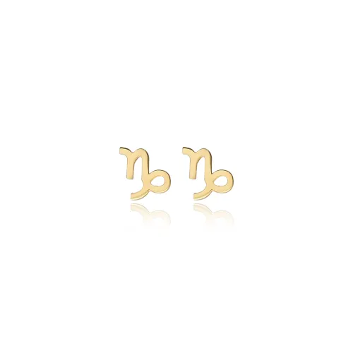 Capricorn Zodiac Tiny 925 Sterling Silver Earrings