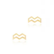 Aquarius Horoscope 925 Silver Stud Earrings