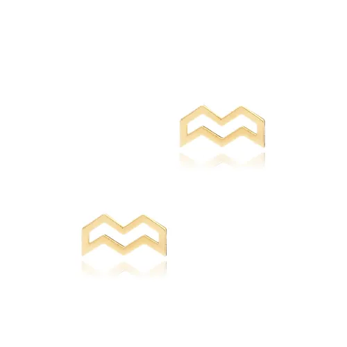 Aquarius Horoscope 925 Sterling Silver Earrings