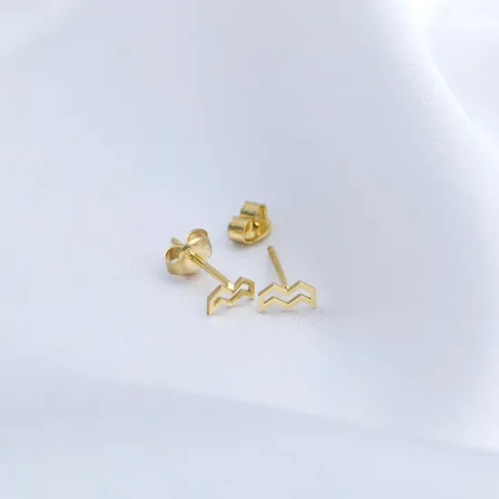 Aquarius Horoscope 925 Sterling Silver Earrings Aquarius Horoscope 925 Sterling Silver Earrings