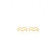 Aquarius Horoscope 925 Silver Stud Earrings