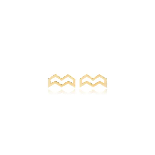 Aquarius Horoscope 925 Sterling Silver Earrings