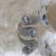Clear CZ Round Stony Cluster Adjustable 925 Silver Ring Clear CZ Round Stony Cluster Adjustable 925 Silver Ring