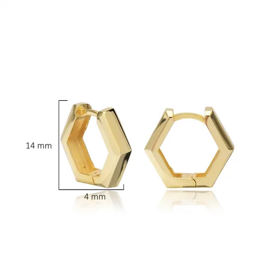 Geometric Popular 925 Sterling Silver Earrings