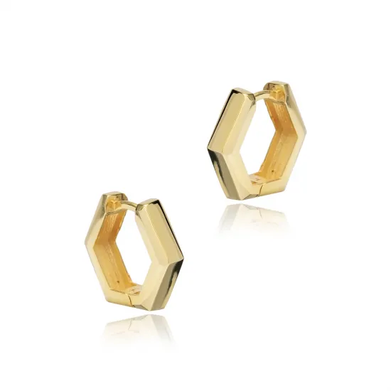 Geometric Popular 925 Sterling Silver Earrings