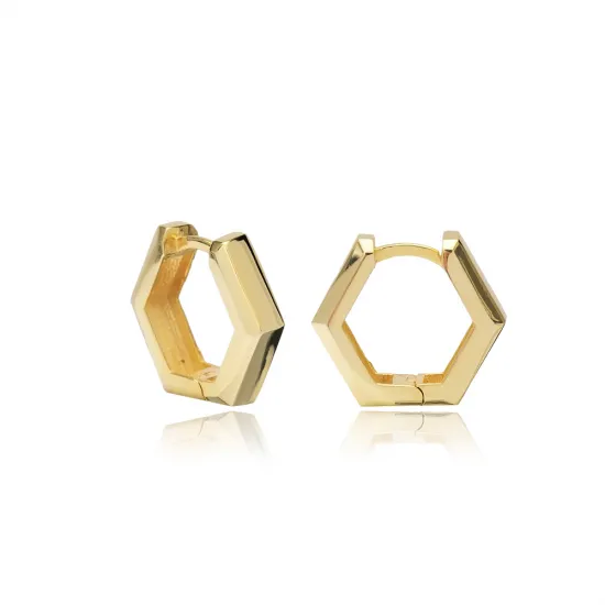Geometric Popular 925 Sterling Silver Earrings