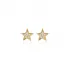 Star Design CZ Stone Silver Stud Earrings