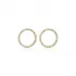 CZ Stone Hollow Circle Design Stud Earrings