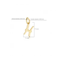 Pisces Zodiac Sign Plain Horoscope 925 Silver Necklace