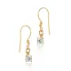 Dainty CZ Shape Hook 925 Sterling Silver Earrings Dainty CZ Shape Hook 925 Sterling Silver Earrings
