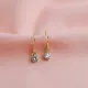 Dainty CZ Shape Hook 925 Sterling Silver Earrings Dainty CZ Shape Hook 925 Sterling Silver Earrings