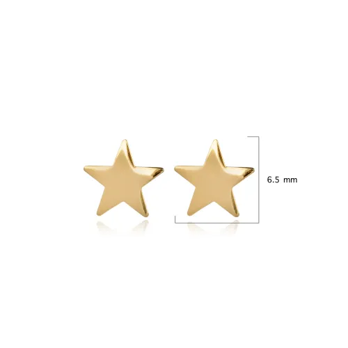 Plain Star Shape 925 Sterling Silver Earrings