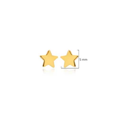 Star Tiny Earrings in 925 Sterling Silver