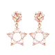 Turkish Push Back Baguette CZ Cluster Silver Earrings Turkish Push Back Baguette CZ Cluster Silver Earrings